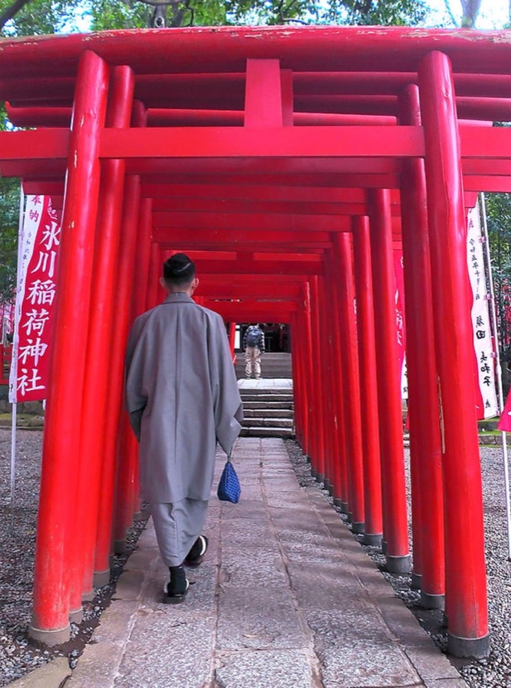 Red torii gates